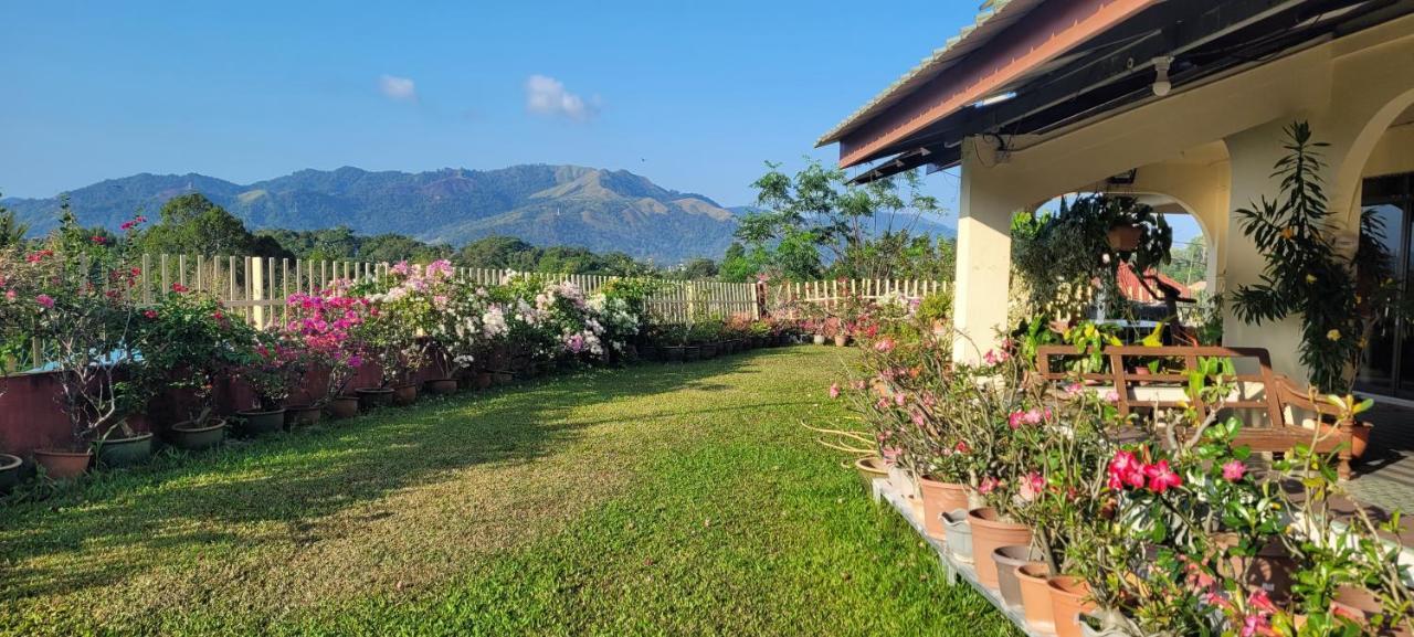 Mountain View Guest House Kb Kota Belud 외부 사진